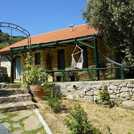 Elpida Country House -Paleochora-Anidri Zewnętrze zdjęcie