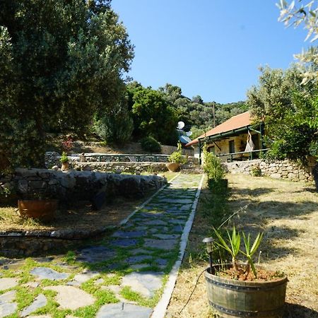 Elpida Country House -Paleochora-Anidri Zewnętrze zdjęcie